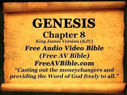 BourneRoot - Genesis 8 dramatised audio video bible kjv Face