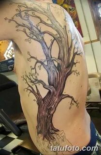 Фото рисунка тату дерево дуб 20.10.2018 № 052 - tattoo tree 