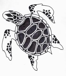turtle tattoos - Google Search Sea turtle drawing, Turtle dr