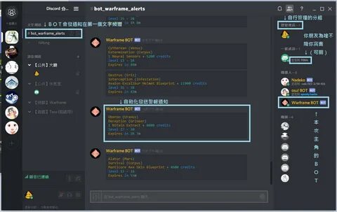 Discord bot code copy and paste