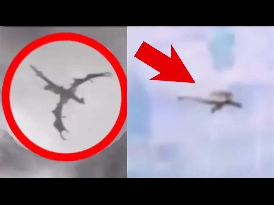 5 Dragons Caught On Camera! - YouTube