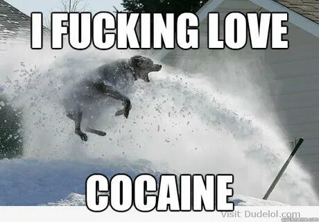 Image - 670881 I Fucking Love Cocaine Know Your Meme