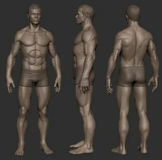 Anatomy_3D에 있는 zhou님의 핀 몸