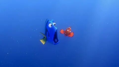 Finding Nemo - Finding Nemo Image (3568269) - Fanpop