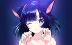 Blue Haired Anime Cat Girl Wallpapers - Wallpaper Cave
