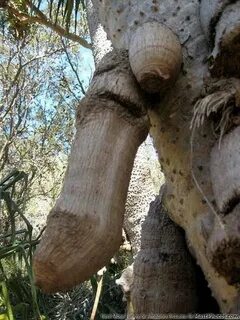 NSFW - Sometimes Nature Creates Funny Things