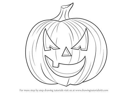 Drawn pumpkin line drawing - Pencil and in color drawn pumpk