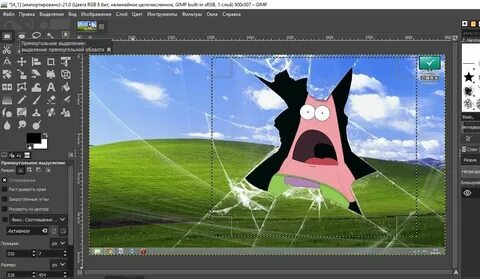 Как скопировать выделенную часть в GIMP - Информатика Экспер