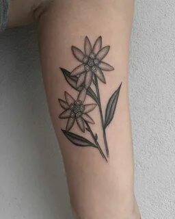 Edelweiss flowers: justin olivier Body art tattoos, Edelweis