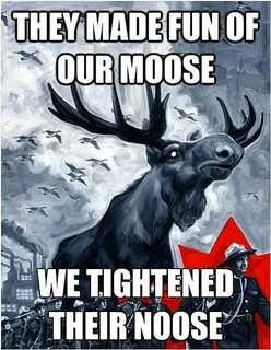 Moose Memes