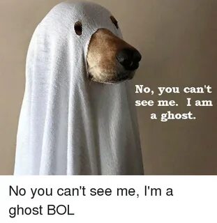 No You Can't See Me I Am a Ghost No You Can't See Me I'm a G