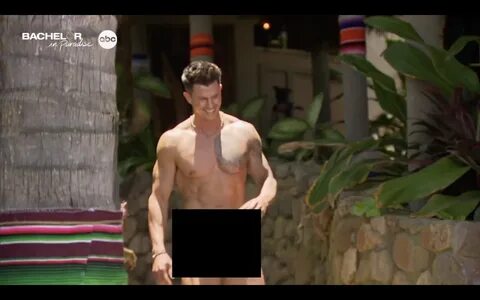 Bachelor in paradise nsfw 🌈 Giant Penis