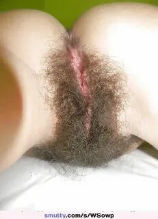 #amateur #hairy #mature #pussy smutty.com