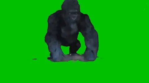 Ape