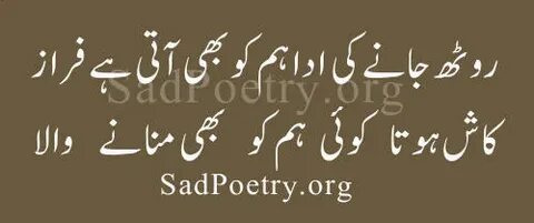 Deep Urdu Poetry 2 Lines - Na dil apna, na jan apni, na tan 