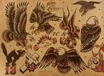 Traditional/old school tattoo, sailor jerry,eagle, bird, 13 