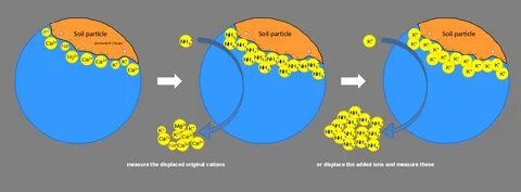 339 questions with answers in CATIONS Science topic