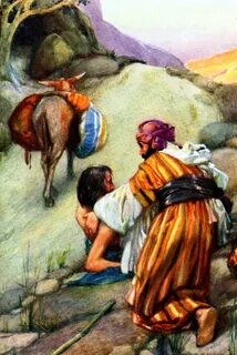 Bible Stories Good Samaritan Bible Vector - 10 Full Versions