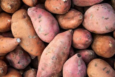 Free photo: Organic sweet potatoes - Agriculture, Raw, Organ