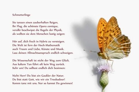 Schmetterlinge Lyrik-Galerie