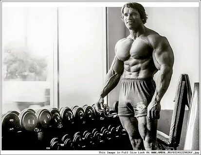 Арнольд Шварценеггер (Arnold Schwarzenegger), фотографии, би