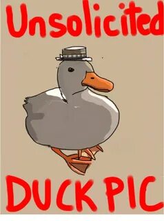 Unsolicited DUCK PIC Duck Meme on esmemes.com