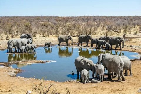 10 Things You Didn't Know About Namibia - WorldAtlas