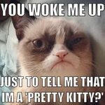 grumpy cat pics with captions Grumpy Cat Grumpy cat humor, G