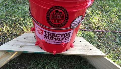 Diy Chicken Waterer 5 Gallon Bucket / Diy Chicken Waterer Wi