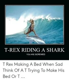 T-Rex RIDING a SHARK YOU ARE SCREWED T Rex Making a Bed When