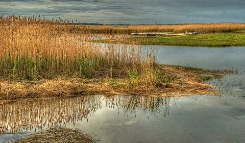 Salt Water Marsh Photograph by Rick Mosher Fine Art America