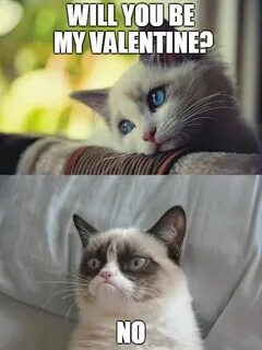 #grumpycat #valentine #willyoubemyvalentine #grumpy Grumpy c