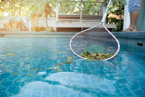 How To Choose The Best Swimming Pool Services: johnlee123456