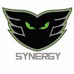 Team Synergy Pro - YouTube