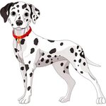 Download High Quality Dog Clipart Realistic Transparent Png 