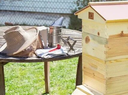 Honey Bee City: Beekeeping Kit + Accessories Bee city, Bee k