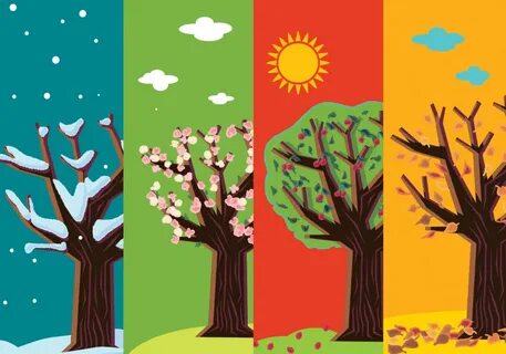 Four Seasons Tree Free Vector Art - (44 ... Çocuklar için sa