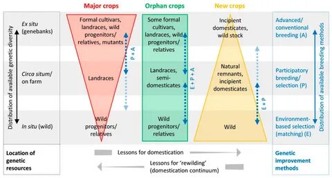 Sustainability Free Full-Text The Future of Food: Domestication and Commercializ