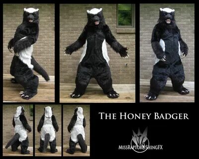 This...is the Honey Badger. by MissRaptor on DeviantArt Hone