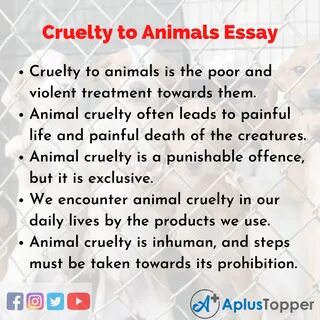Essay topics animal cruelty