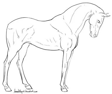 Standing Horse Lineart by AmandaRaquel on deviantART Horse a