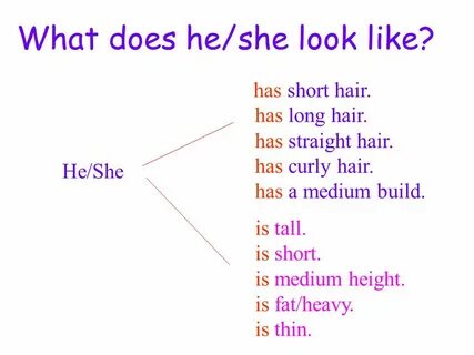 What does he look like?. - ppt video online download