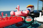 Sunnylife Inflatable Toucan in 2022 Watermelon pool float, P