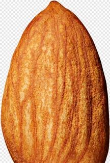 Almond tit