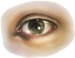 eyepng - Eye - Human Eye #359960 - Vippng