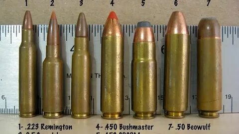 450 Bushmaster & 50 Beowulf - Why Pick These AR-15 Calibers?