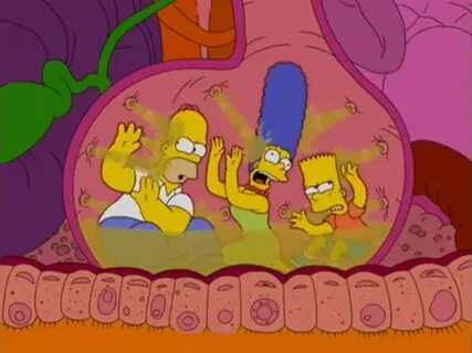 YARN HOMER: Ew! The Simpsons (1989) - S15E13 Comedy Video cl
