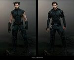 CHARACTER MODEL Wolverine marvel, Marvel dc movies, Wolverin