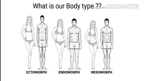 Body types - YouTube