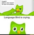 GREAT, NOW COUNT TO 100 IN KLINGON Language Bird is crying. 